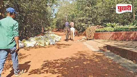 Matheran Horse Association Protest 
