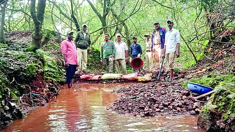 Satara News : वन्यजीवांसाठी उभारले ४०० वनराई बंधारे
