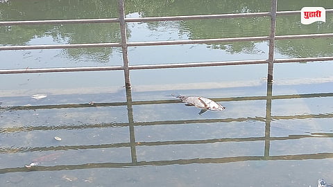 Kalamboli Mhasoba Lake