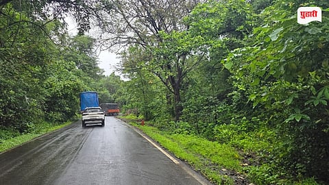 Palghar Trimbakeshwar Road