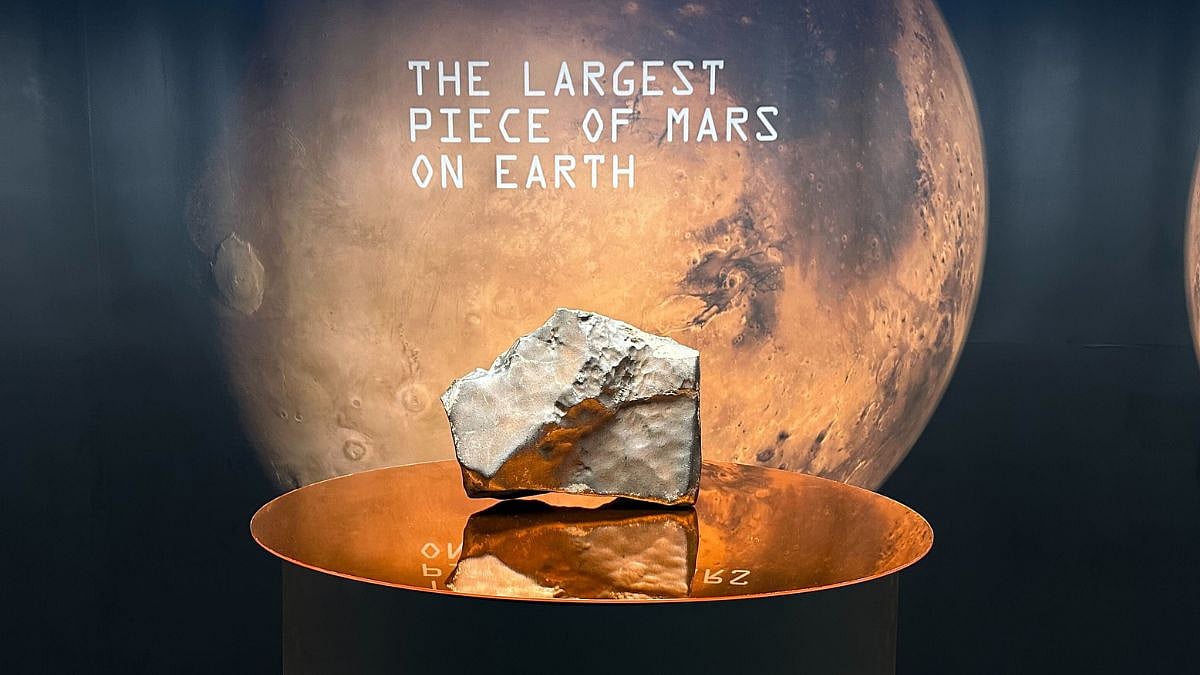 Largest Mars Rock auction | मंगळ ग्रहावरची उल्का कोसळली वाळवंटात ...