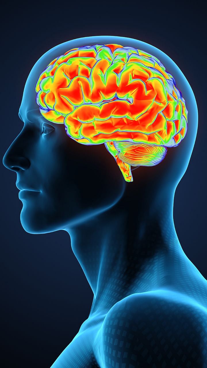Brain-boosting foods