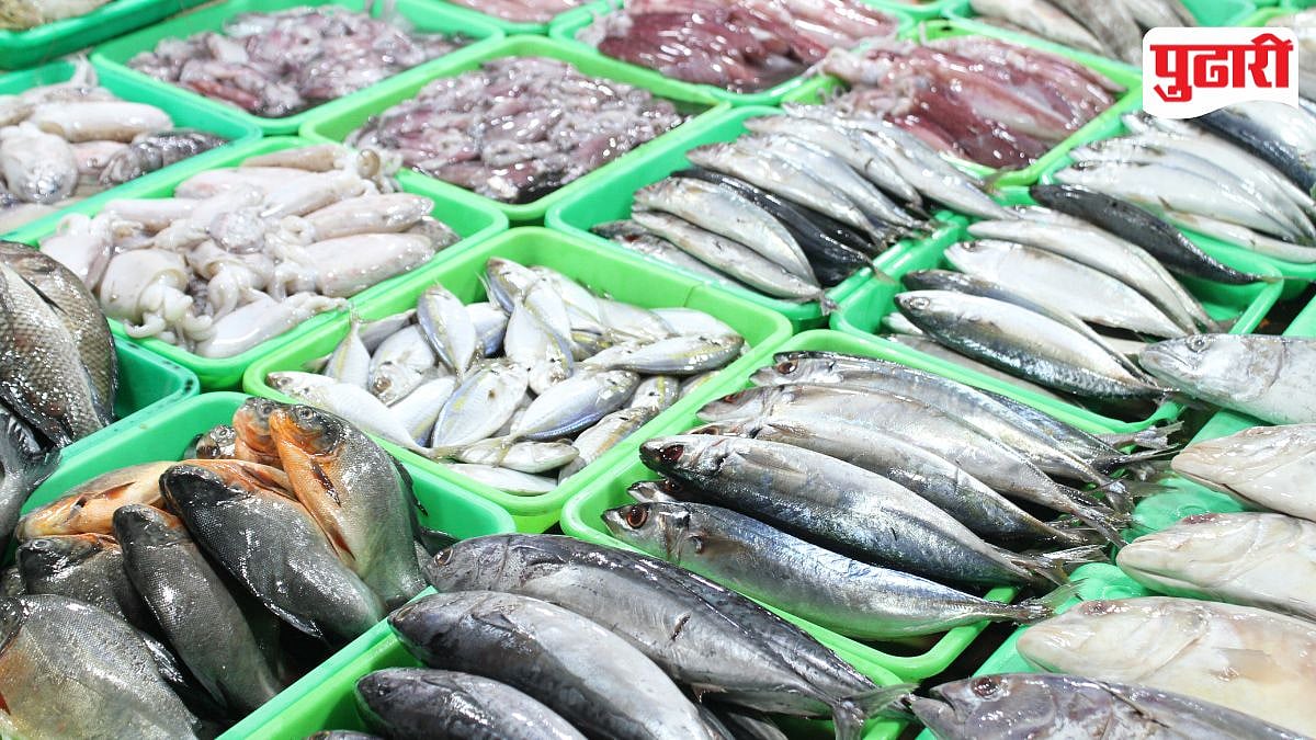 पुण्यात मासळीची मागणी घटली; चिकन-अंड्यांचे दर घसरले|pune fish demand ...