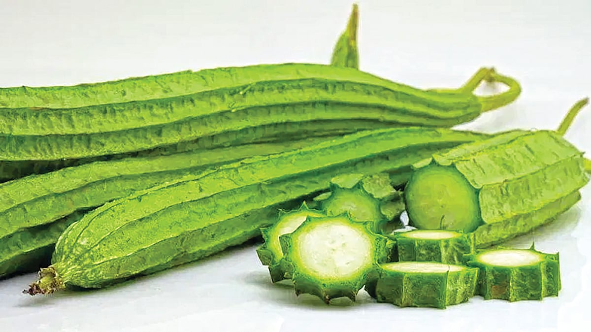 Ridge Gourd vegetable benefits | उन्हाळ्यात दोडक्याची भाजी ठरते लाभदायक