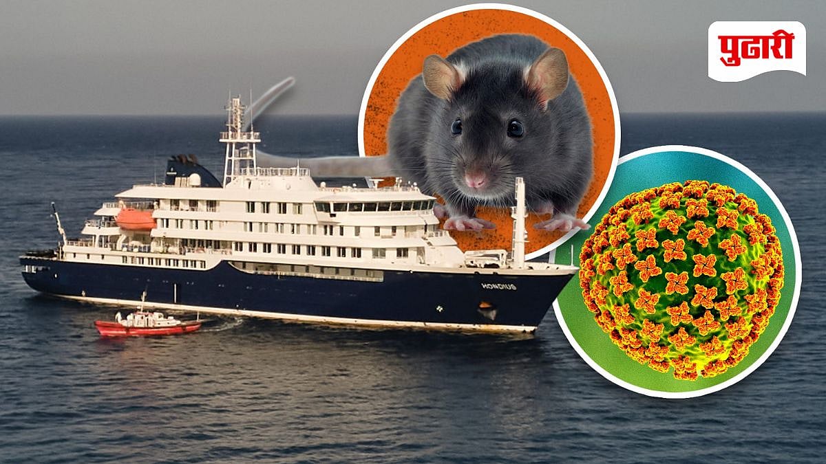 Hondius Hantavirus Outbreak The Endothelial Breach: How Hantavirus Hijacks the Vascular System