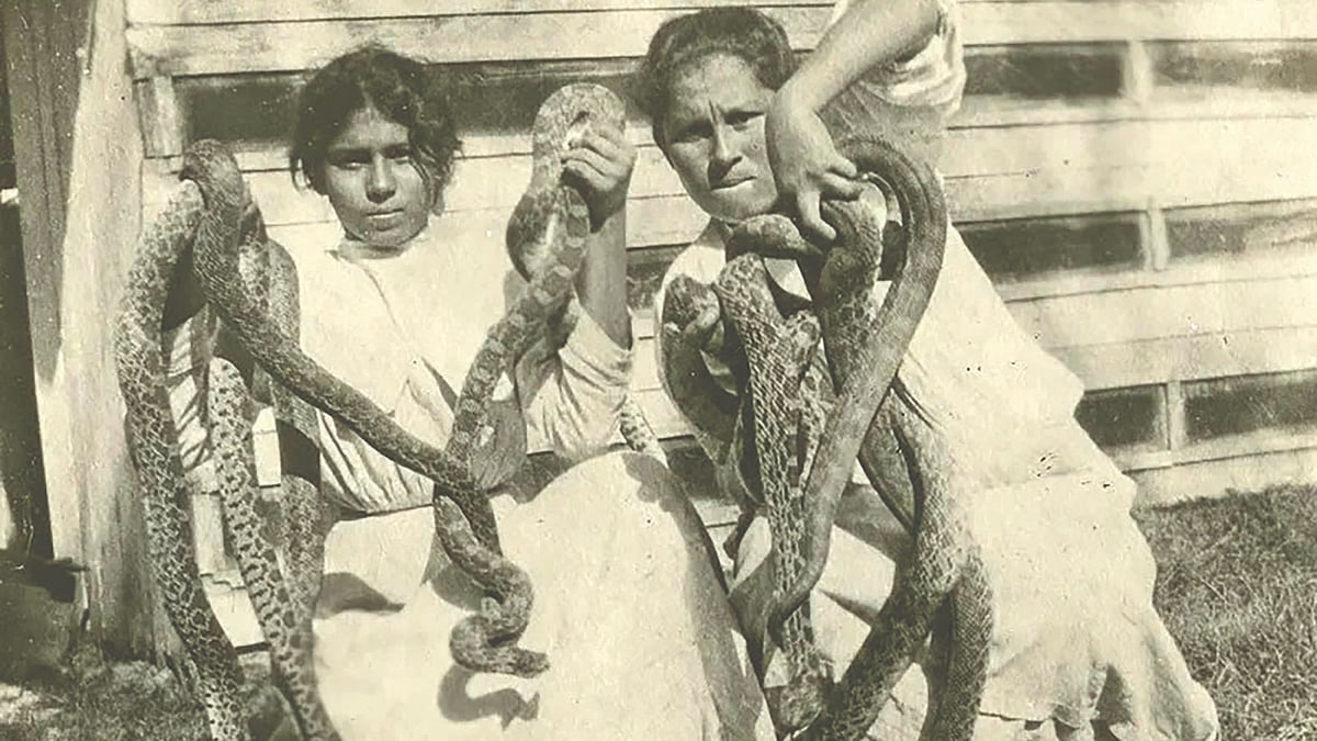 Snake oil history | नेमके काय होते स्नेक ऑईल...