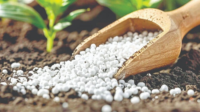 Urea Price Decline | युरियाचा दर कोसळल्याने खत अनुदानाचा भार कमी होणार?