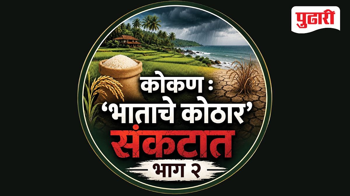 Konkan Rice Farming : भातशेतीचे गणित बिघडले; किमती-उत्पादनाचे अर्थकारण ...