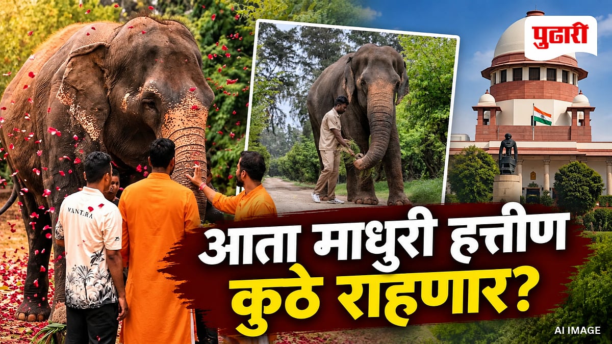 Madhuri Elephant: माधुरी हत्तीण प्रकरणात सुप्रीम कोर्टाचा मोठा निर्णय ...