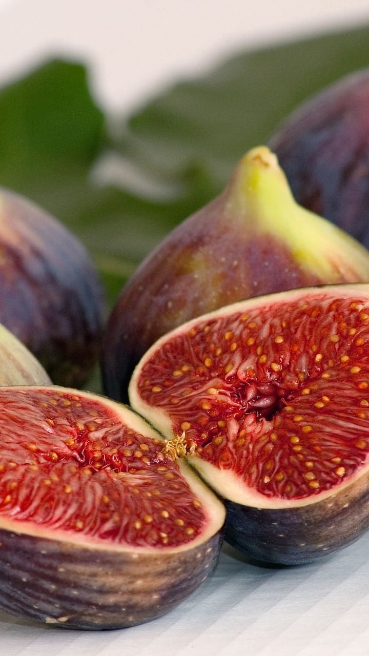 fig  