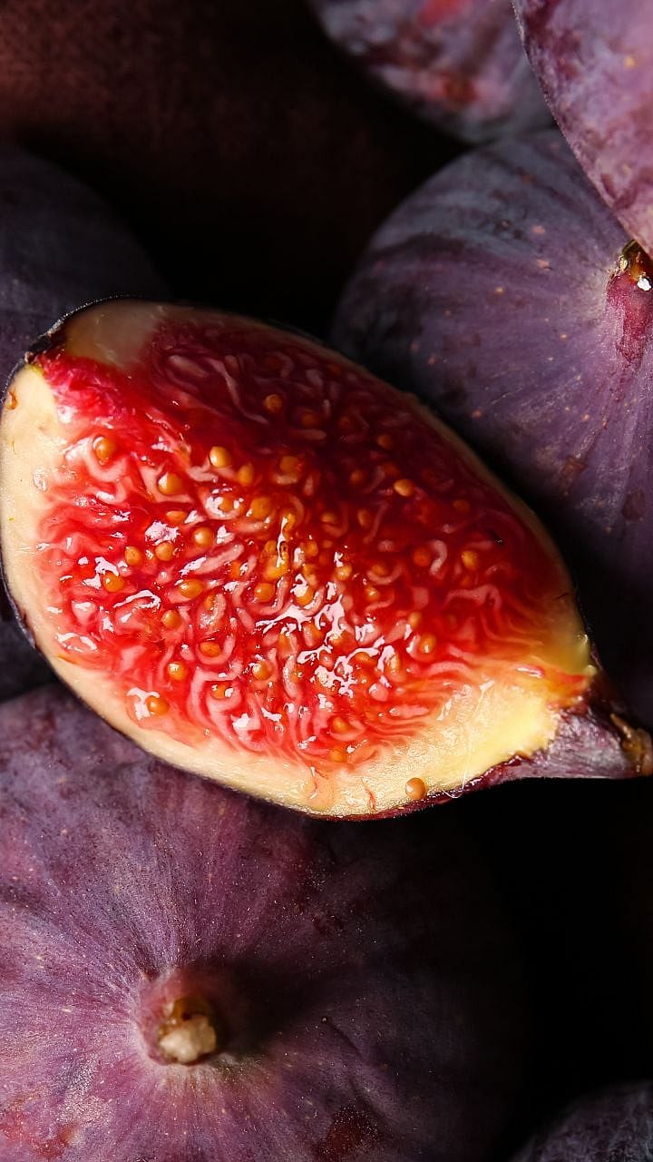 fig  