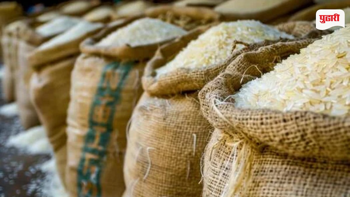 Basmati Rice Price Hike: दिवाळीत तांदूळ आणखी महागणार? बासमतीच्या दरात ...