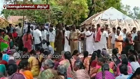 jallikattu