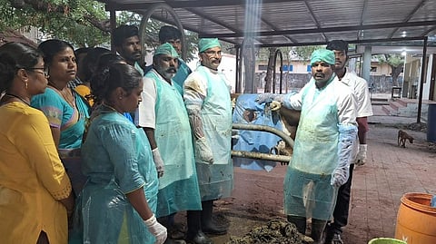 veterinary surgery