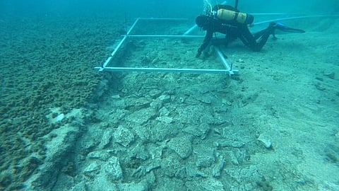 Road under the sea