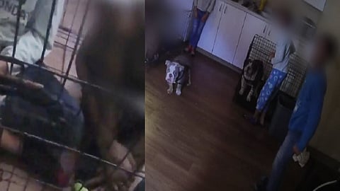 america child abuse