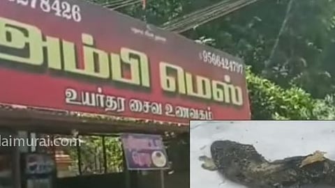 வடையில் இருந்த பல்லி