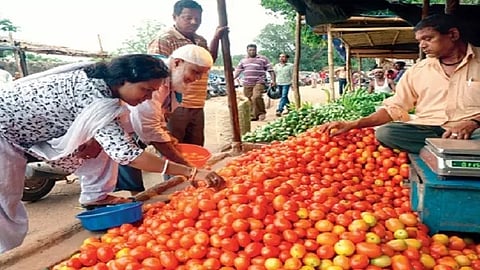tomatoes