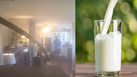 milk
