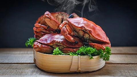 crabs