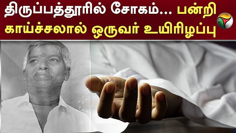 பன்றிக்காய்ச்சல் மரணம், திருப்பத்தூர்