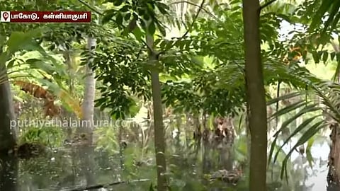 paakoodu