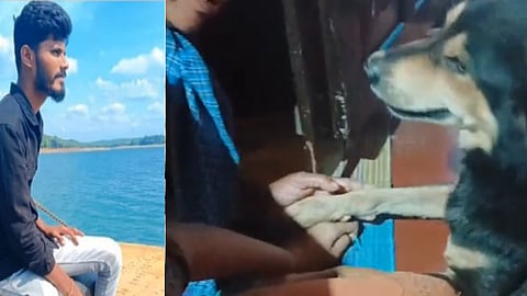 dog love