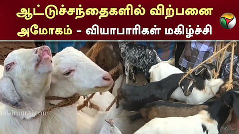ஆட்டுச்சந்தைகளில் விற்பனை 