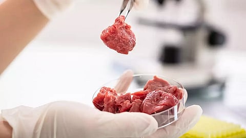 laboratory-grown meat