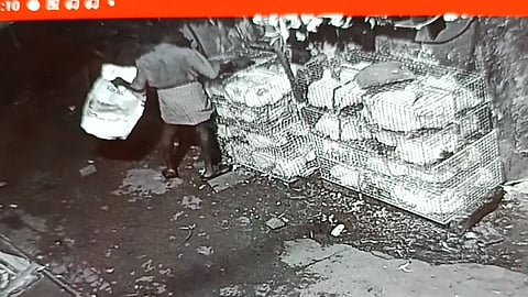 chicken theft