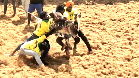 Manju Virattu