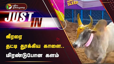 பாலமேடு ஜல்லிக்கட்டு