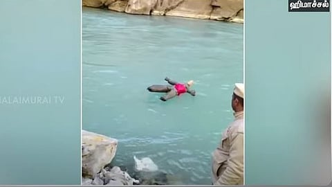 காணாமல் போன வெற்றி துரைசாமியை தேடுதல் 
