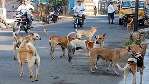 மாதிரிப்படம்