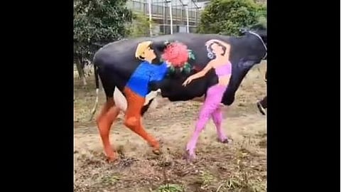 காதலர் தின கொண்டாட்டம்