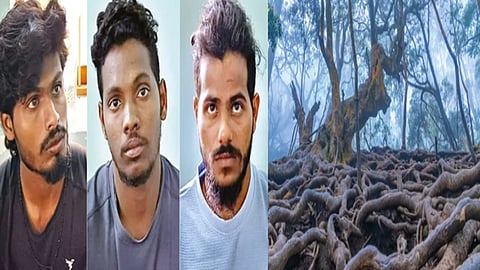 மஞ்ஞுமல்  பாய்ஸ் 