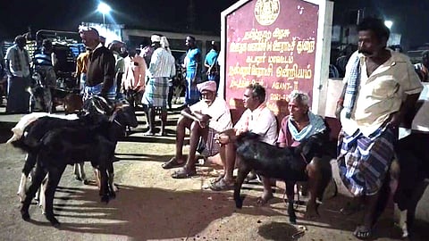 ஆட்டு சந்தை
