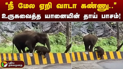 யானை