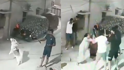 video image