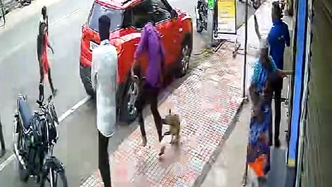 Street dog bite