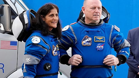 Sunita William, Willmore