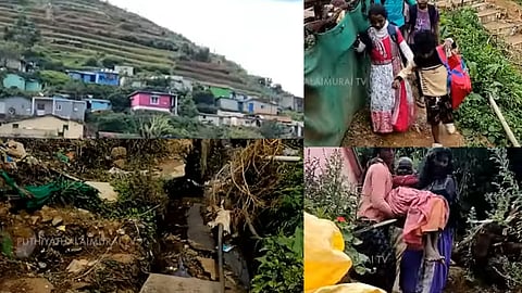 நீலகிரி 
