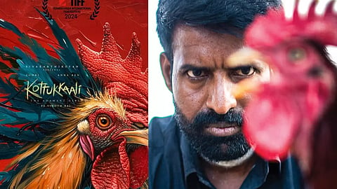 கொட்டுக்காளி