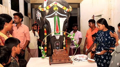 அழகர்கோவில் யானை  பிறந்தநாள்
