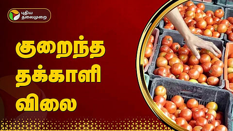 தக்காளி