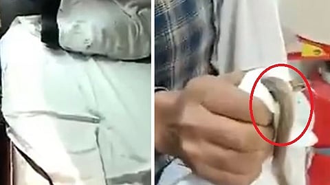 video image
