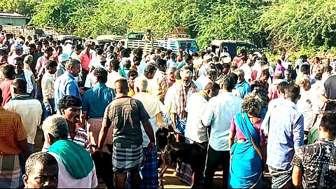 உளுந்தூர்பேட்டை வாரச் சந்தை