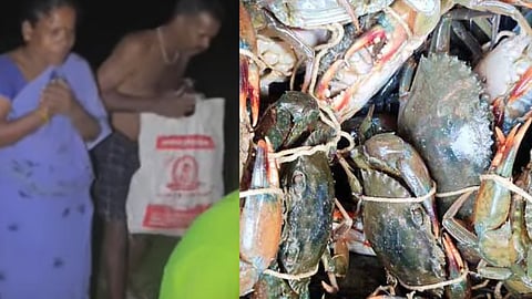 அடையாறு 