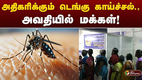டெங்குவைப் பரப்பும் கொசு