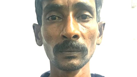 கஞ்சா செடி வளர்த்ததாக ஒருவர் கைது